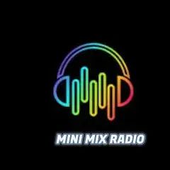 29017_MINIMIX RADIO.png